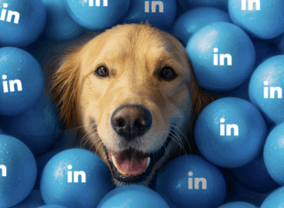 LinkedIn growth